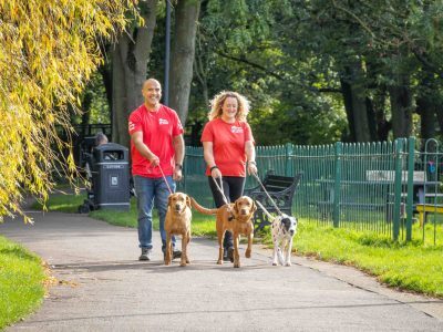 Dog Walking