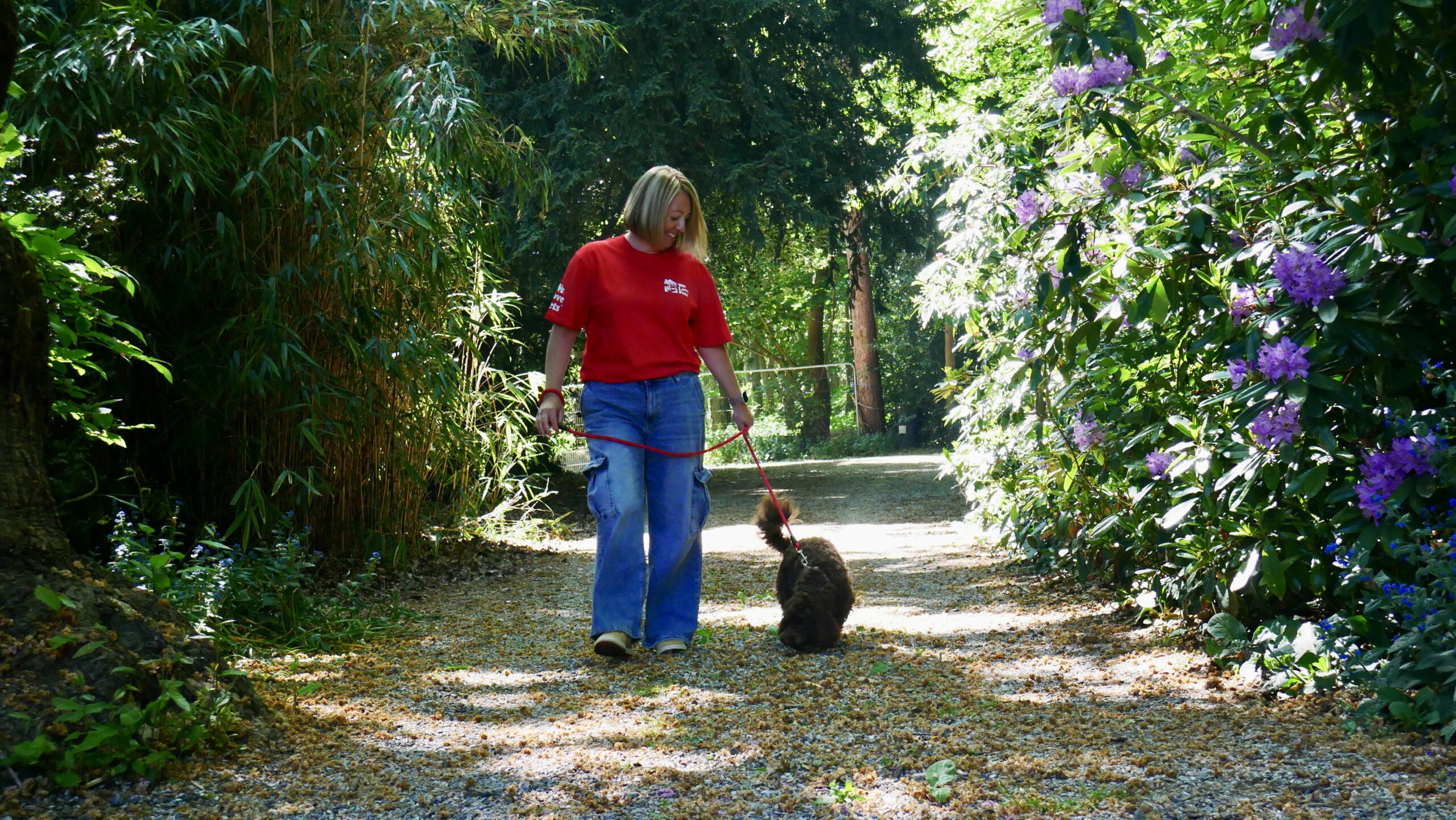 We Love Pets Colchester